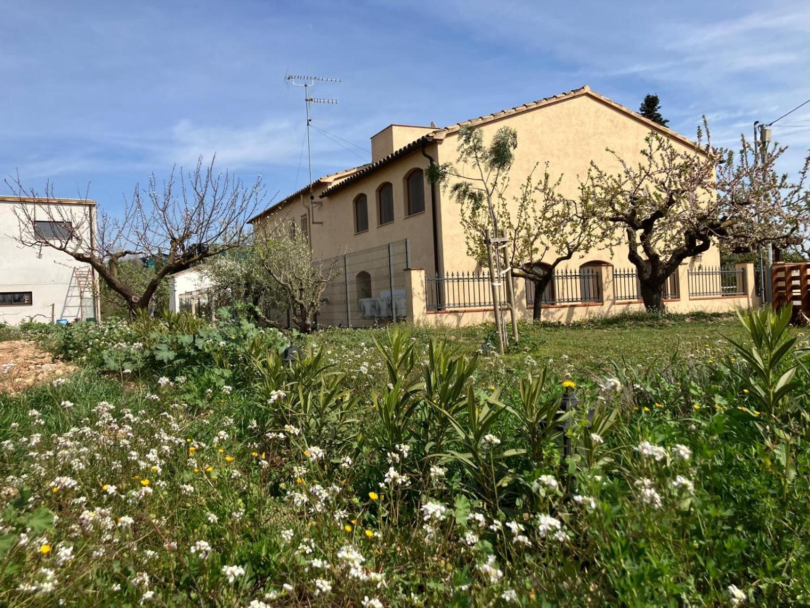 Apartment With Private Pool And Garden San Martín Sarroca 外观 照片